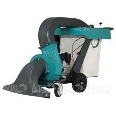 Садовый пылесос Remarc LS XP 5.0 G в Пензе