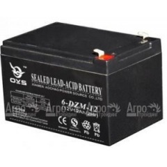 Аккумулятор Champion C3503 в Пензе