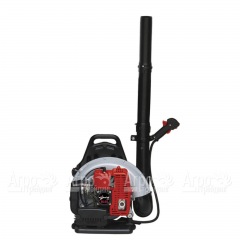 Воздуходувка бензиновая Expert BIS BL65 в Пензе