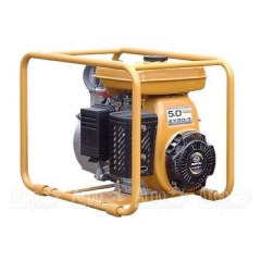 Бензиновая мотопомпа DaiShin PTG 307 в Пензе