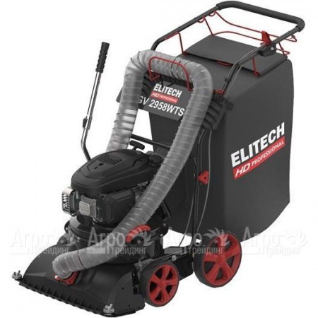 Пылесос садовый бензиновый Elitech HD GV 2958WTS (E1608.008.00) в Пензе