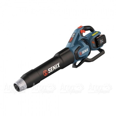 Воздуходувка аккумуляторная Senix BLAX2-M2-EU в Пензе
