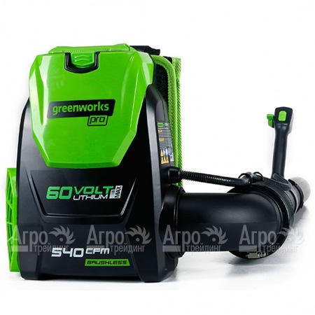 Воздуходувка аккумуляторная GreenWorks GD60BPB (без батареи и зарядного устройства)  в Пензе