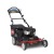 Газонокосилка бензиновая Toro 20199 в Пензе