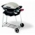Газовый гриль Weber® Q™ в Пензе