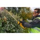 Аккумуляторный кусторез Dewalt DCM563P1 в Пензе